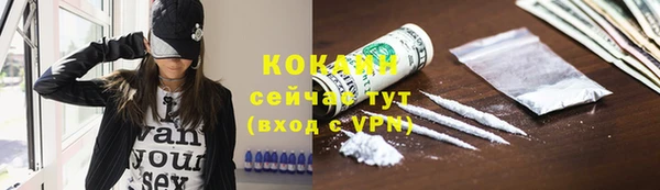 ПСИЛОЦИБИНОВЫЕ ГРИБЫ Алексин