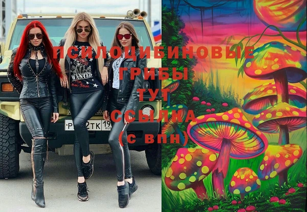 ПСИЛОЦИБИНОВЫЕ ГРИБЫ Алексин