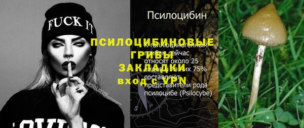 ПСИЛОЦИБИНОВЫЕ ГРИБЫ Алексин