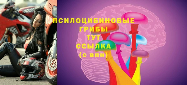 гашик Новозыбков